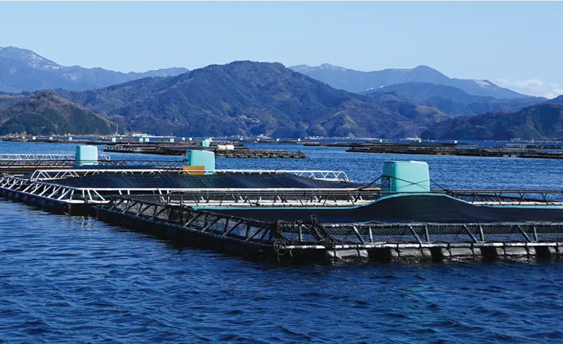 養殖用自動給餌機